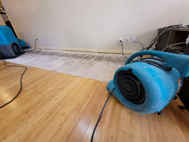 Professional Water Damage Repair technician working in Lewisville, NC